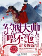 甜妻缠绵:军阀大帅,有点坏 甜妻缠绵:军阀大帅,有点坏